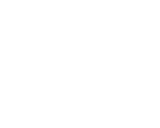 The Little Gym Logo